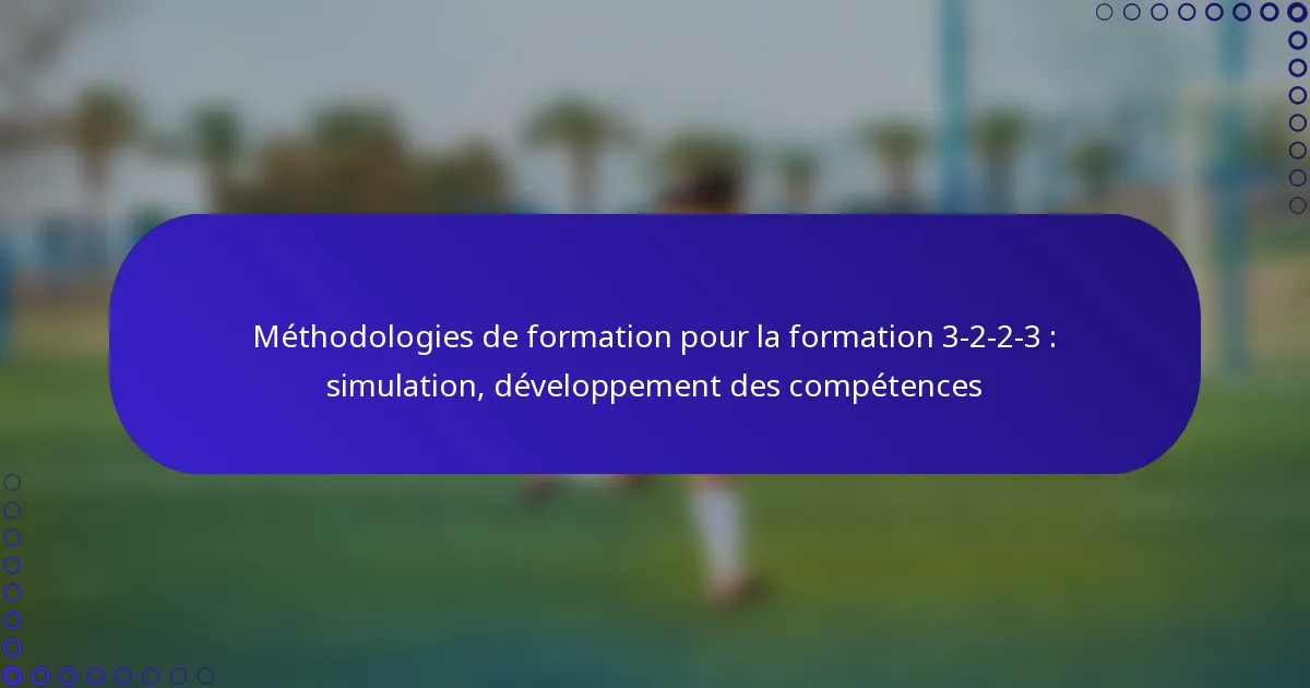 Méthodologies de formation pour la formation 3-2-2-3 : simulation, développement des compétences