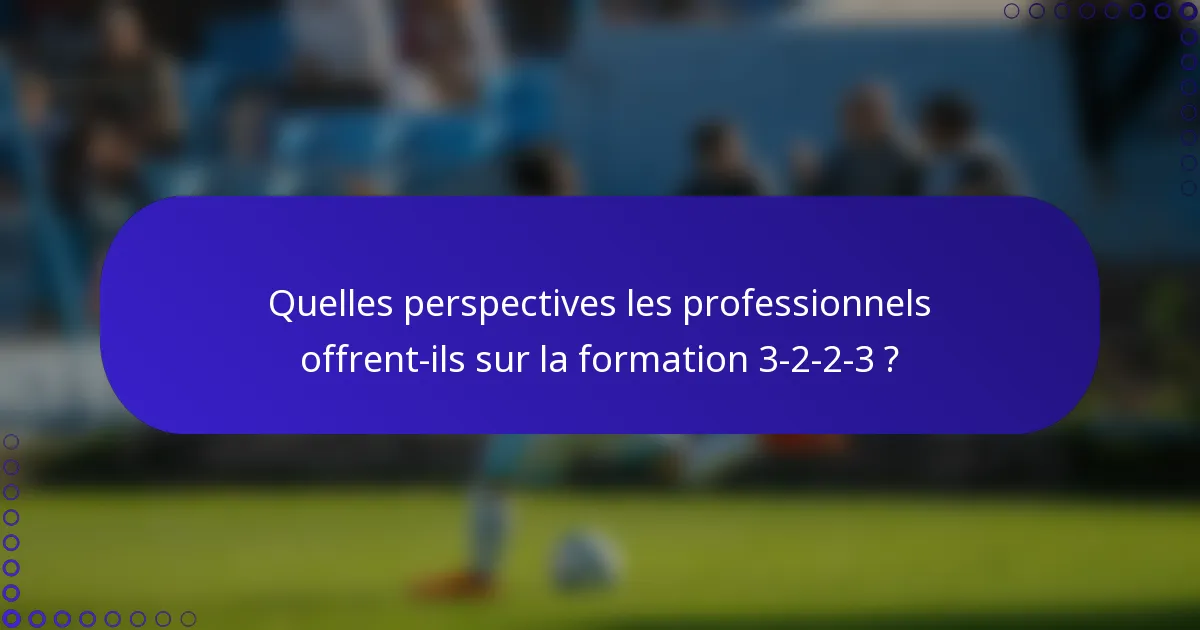 Quelles perspectives les professionnels offrent-ils sur la formation 3-2-2-3 ?